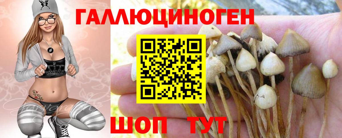 Галлюциногенные грибы GOLDEN TEACHER Мичуринск